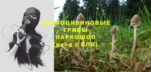 СК Михайловка