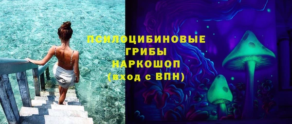 мяу мяу мука Михайловск