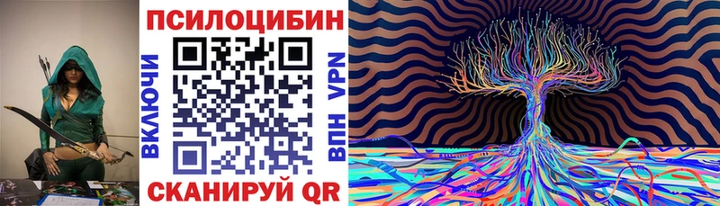 Псилоцибиновые грибы Cubensis  Купить  Югорск 