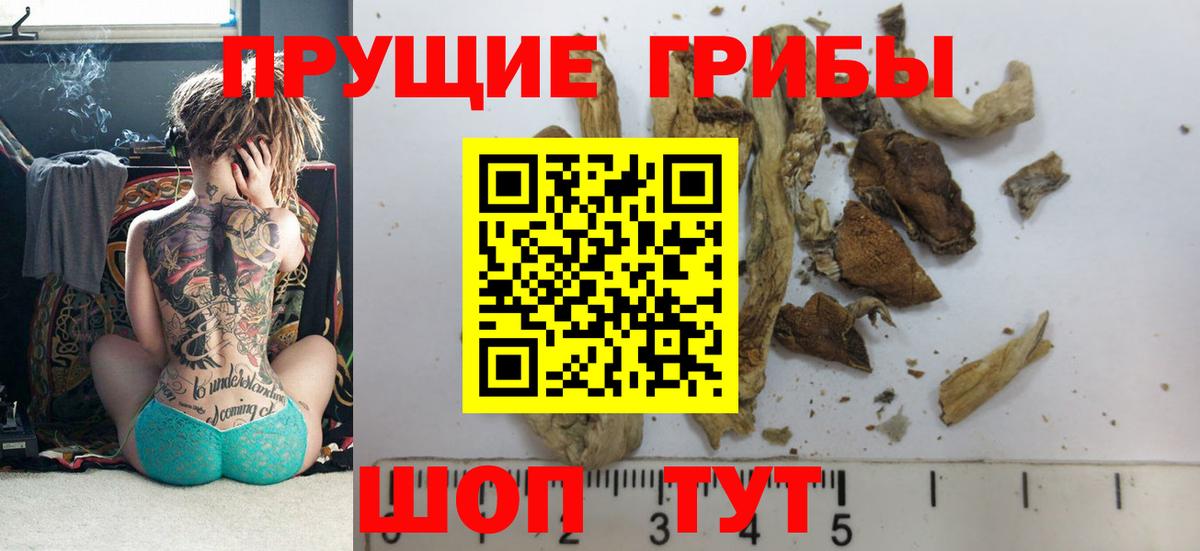 Галлюциногенные грибы Cubensis Югорск