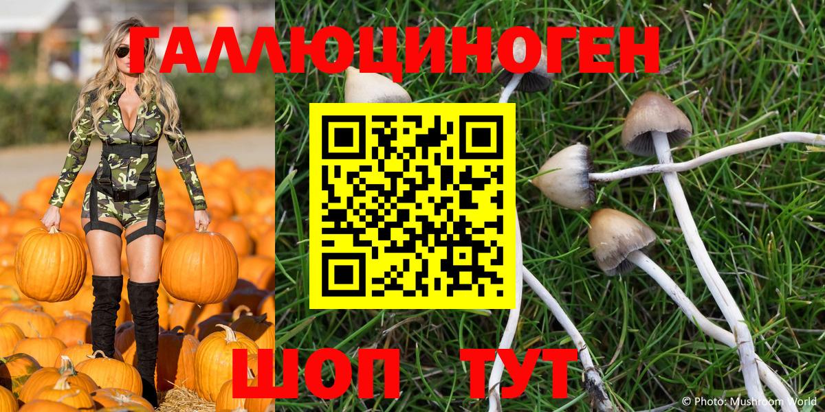 Псилоцибиновые грибы мухоморы  Югорск 