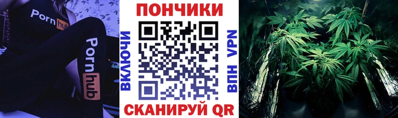 Купить  Югорск  Бошки марихуана марихуана 